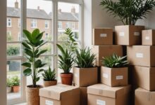 شركة موثوقة لنقل العفش في أبها